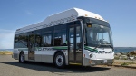 A medium-duty BC Transit CNG bus is shown: (BC Transit)