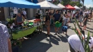 Shoppers hit the downtown farmer's market in Windsor, Ont. on July 25, 2020. (Alana Hadadean / CTV Windsor)