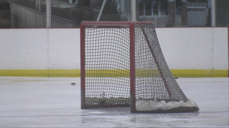 An ice hockey net is seen in this undated file photo. 