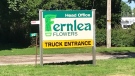 A Fernlea Flowers sign sits along Highway 3 near Courtland, Ont. on Tuesday, July 28, 2020. (Sean Irvine / CTV News) 