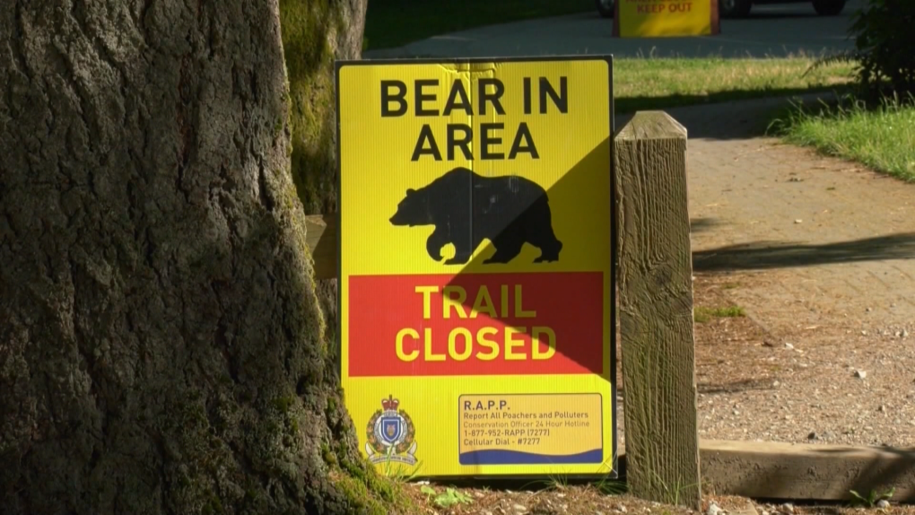 Black bear warning sign
