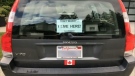 U.S. licence plates