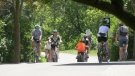 Cyclists enjoy an Ottawa bike path on a sunny Saturday. Aug. 1, 2020. (Dave Charbonneau / CTV News Ottawa)