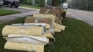 Soaked carpets line a boulevard along Millbank Drive in London, Ont. on Tuesday, Aug 4, 2020. (Sean Irvine / CTV News)