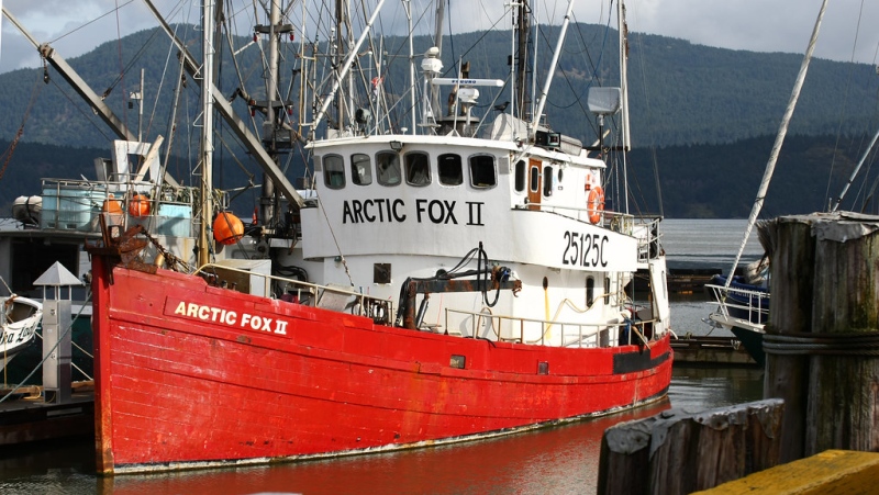 The Arctic Fox II is shown. (marinetraffic.com)