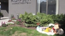 Growing memorial for eight-month-old found dead