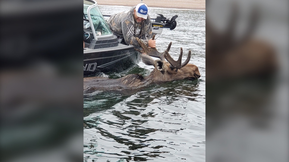 Steve Morin holds a moose's antlers