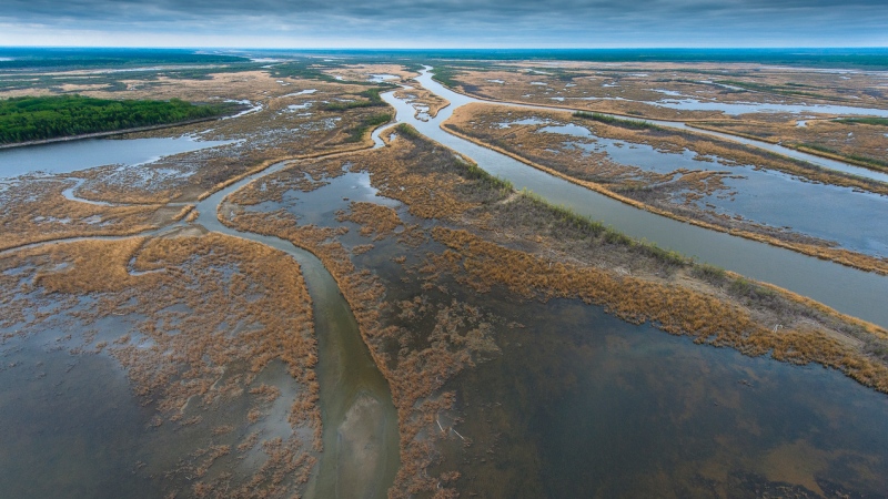 The Saskatchewan River Delta spans 10,000 km2, encompassing the northern part of the province and Manitoba. (Submitted/Garth Lenz)