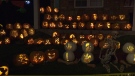 halloween  jack-o'-lantern pumpkins decorate