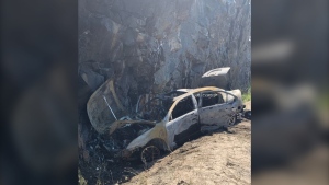 The aftermath of a single-car crash and fire on Muskoka Road 34 in Georgian Bay Twp, Ont. on Friday August 15, 2020 (OPP handout)