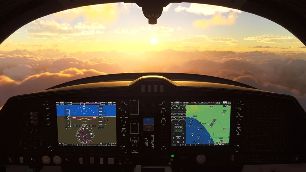 Flight Simulator game