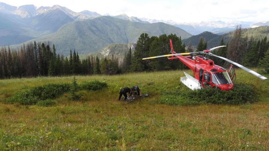 Grizzly bear attack