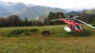 B.C. conservation officers investigate the area where the bear attack happened near Lillooet, B.C.. (BCCOS)