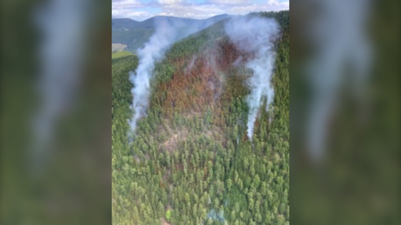 A wildfire that is believed to have been sparked by lightning is pictured near Meade Creek on Vancouver Island: Aug. 18, 2020 (BC Wildfire Service)