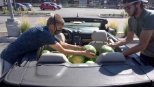 Evgeny Patvakanov, left, and Victor Rene de Cotret, shown in this handout image, drove around a residential Montreal neighbourhood dropping watermelons on unsuspecting residents' doorsteps. The mischief makers behind the evgeny YouTube channel say the goal of the produce prank is to sow "chaotic good." THE CANADIAN PRESS/HO-Evgeny Patvakanov and Victor René de Cotret
*MANDATORY CREDIT*