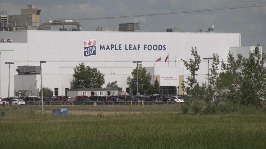 Maple Leaf workers demanding change