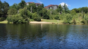 Muskoka River at Kelvin Grove Park in Bracebridge, Ont. (Rob Cooper/CTV News)