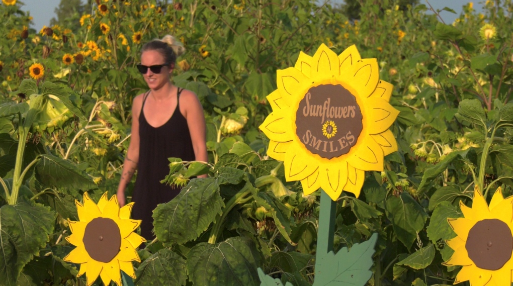 Sunflowers for Smiles