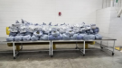 440 pounds of khat seized at Ambassador Bridge. (courtesy U.S. Customs and Border Protection)