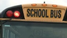 The Anglophone South School District said some families would not be getting school bus service this year because of physical distancing requirements due to COVID-19.