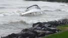 Three people survived after a boat capsized in Lake Erie near Kingsville, Ont. on Monday, Sept. 7, 2020.
(Source: Judith Miller) 