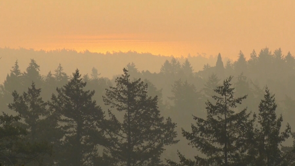 Wildfire smoke sweeps over Vancouver Island