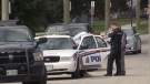 London Ont. police officers. (Daryl Newcombe/CTV London)