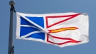 Newfoundland & Labrador's provincial flag flies on a flag pole in Ottawa, Monday July 6, 2020. (THE CANADIAN PRESS / Adrian Wyld)