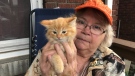 Linda Merle with the kitten, now named Ranger, who was rescued in Comber, Ont. (Rich Garton / CTV Windsor)