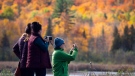 David Gillies, Teresa Finik and Christina Torsein, left, take in the fall colours in Gatineau Park in Chelsea, Que., on Sunday, Oct. 14, 2018. (Justin Tang/THE CANADIAN PRESS)