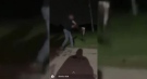 An image taken from video posted on social media shows a person swinging a goose before slamming it into the ground.