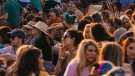People gather at an outdoor concert in this undated stock image. (Pexels)