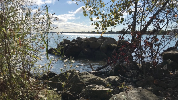 Peche Island features about 100 acres of naturalized park with walking trails and remnants of Hiram Walker’s summer place on Oct. 2, 2020. (Rich Garton / CTV Windsor)