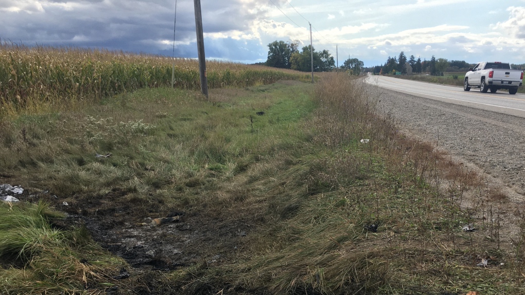 Burned grass is seen following a fiery crash