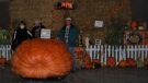 Jane Hunt, Phil Hunt, and Chris Lyons stand by their record setting pumpkin at the 2020 Port Elgin Pumpkinfest. 
