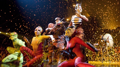 Performers take part in the closing act during a Cirque du Soleil OVO pre-opening show for family, friends and members of the media Wednesday, July 29, 2009 in Quebec City. A Cirque du soleil performer was injured after a fall on Friday. (Jacques Boissinot / THE CANADIAN PRESS)     