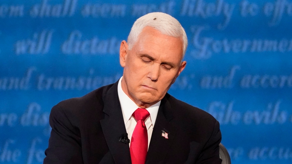 A fly on Mike Pence's head was all the buzz after the vice-presidential  debate | CTV News