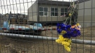 Flowers secured to a fence at the worksite at RancheView School in Cochrane following a Friday morning incident that left a 20-year-old man dead 