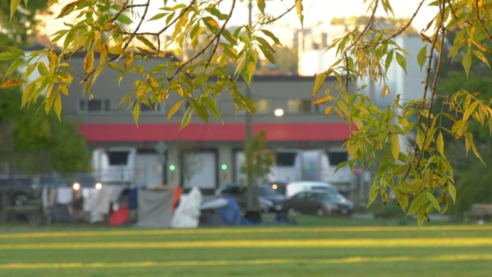 Strathcona homeless camp