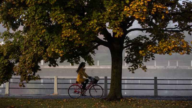 A cyclist rides under a tree as fog blankets the Rideau Canal in Ottawa, on Wednesday, Oct. 14, 2020. (Justin Tang/THE CANADIAN PRESS)
