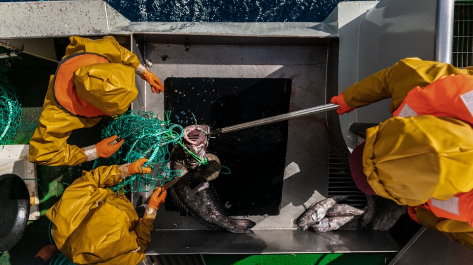 China's global fishing dominance