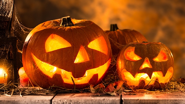 Safe, scary and fun events still happening this Halloween | CTV News