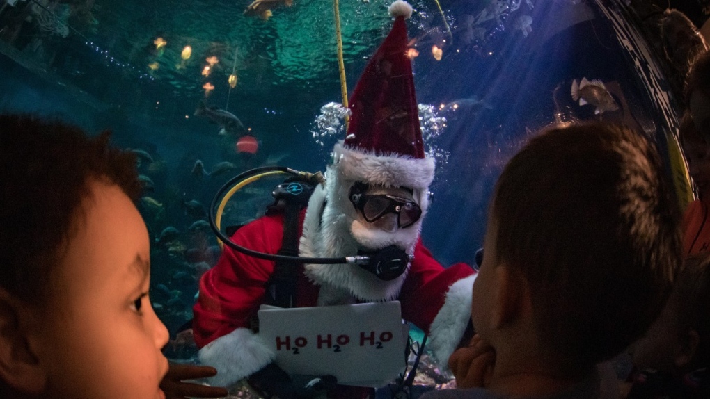 Scuba Claus at the Vancouver Aquarium