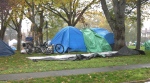 Tents sheltering homeless people in the North Park neighbourhood of Victoria. (CTV News)