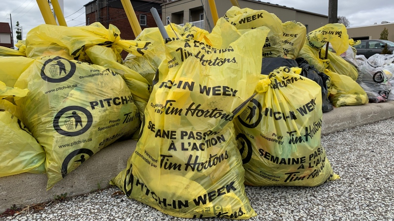 Volunteers collected garbage and cleaned up alleys in the Via Italia neighbourhood in Windsor, Ont.  on Saturday, Oct. 24 2020. (Stefanie Masotti/CTV Windsor)