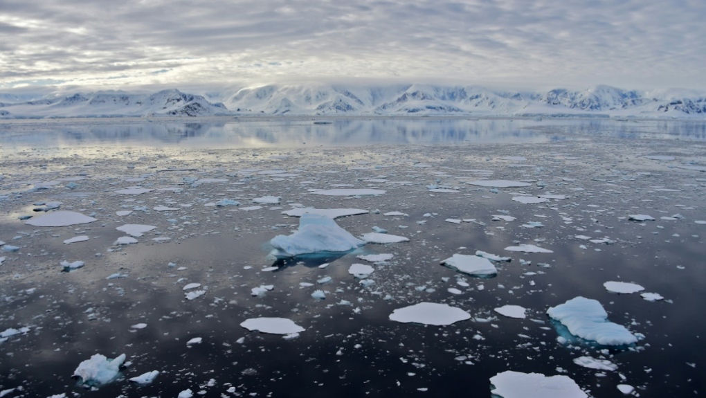Arctic sea ice levels 
