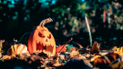 Jack-O'-Lantern on the ground. (Photo by Vlad Chetan from Pexels)