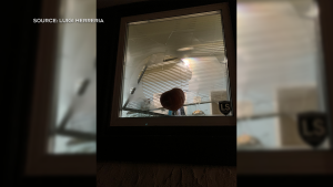 Gloria Ayuban said she has been unable to sleep after a pumpkin crashed through her window in the early morning hours of Monday. (CTV News)
