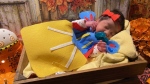 Windsor Regional Hospital staff made Halloween costumes for babies in the NICU on Thursday, Oct. 30, 2020. (Courtesy Windsor Regional Hospital)
