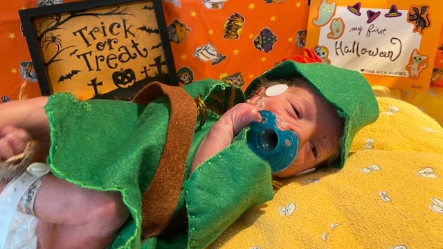Windsor Regional Hospital staff made Halloween costumes for babies in the NICU on Thursday, Oct. 30, 2020. (Courtesy Windsor Regional Hospital)